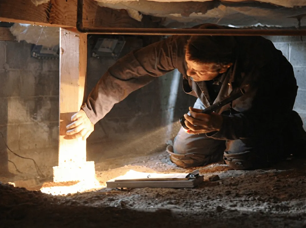 A professional inspecting wooden beams under the floor of a structure in Dover, DE